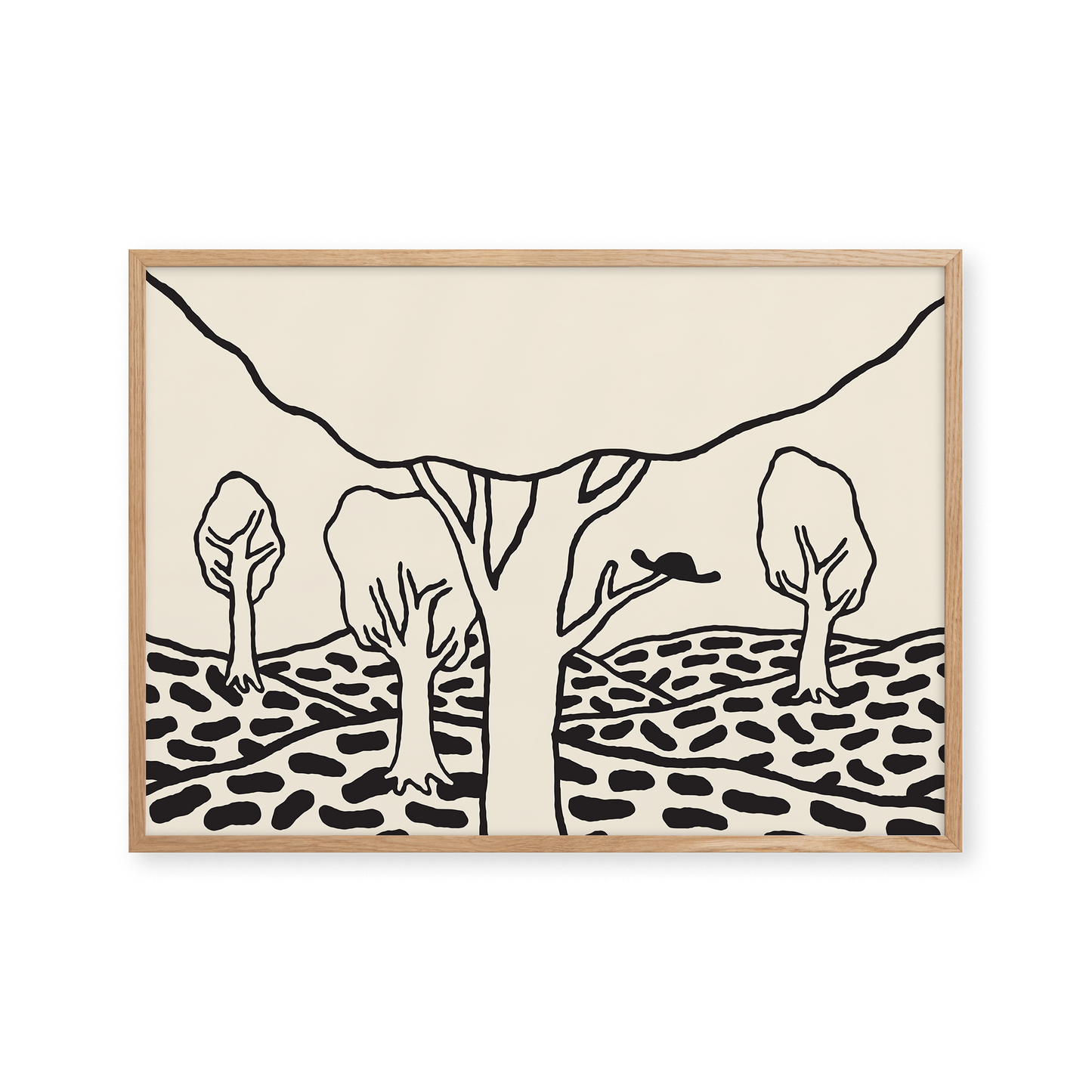 Foret De Troncais