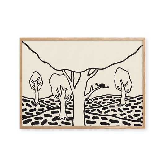 Foret De Troncais